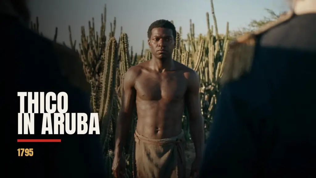 Thico, Aruba 1795, live action look